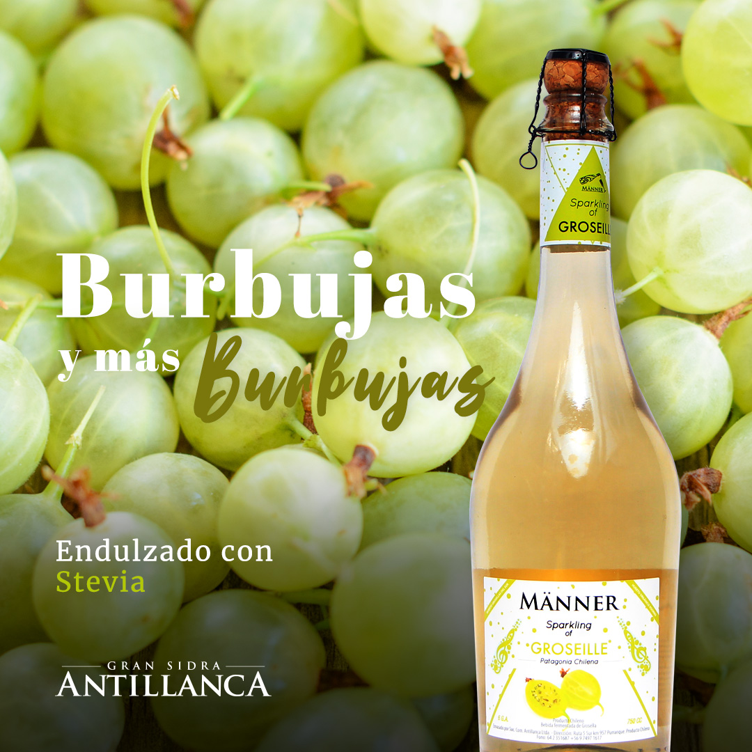 14_ABR_ANTILLANCA