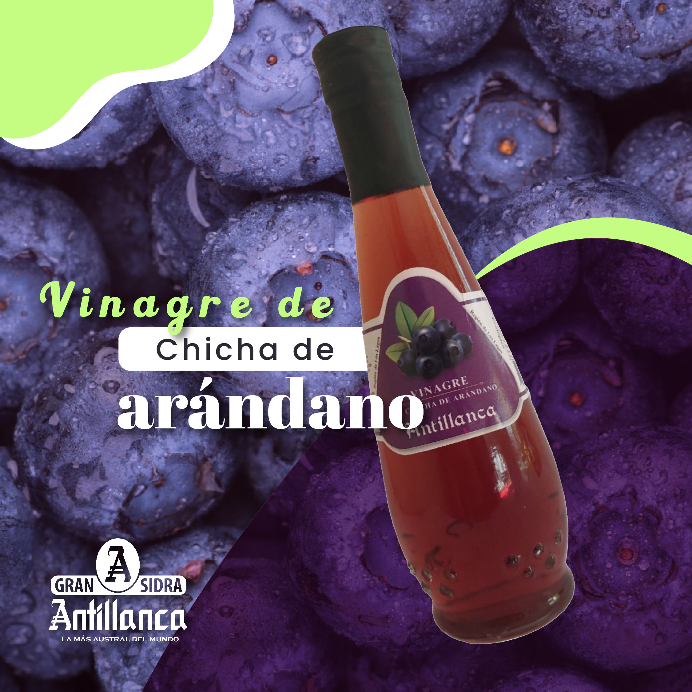 banner vinagre_arandano