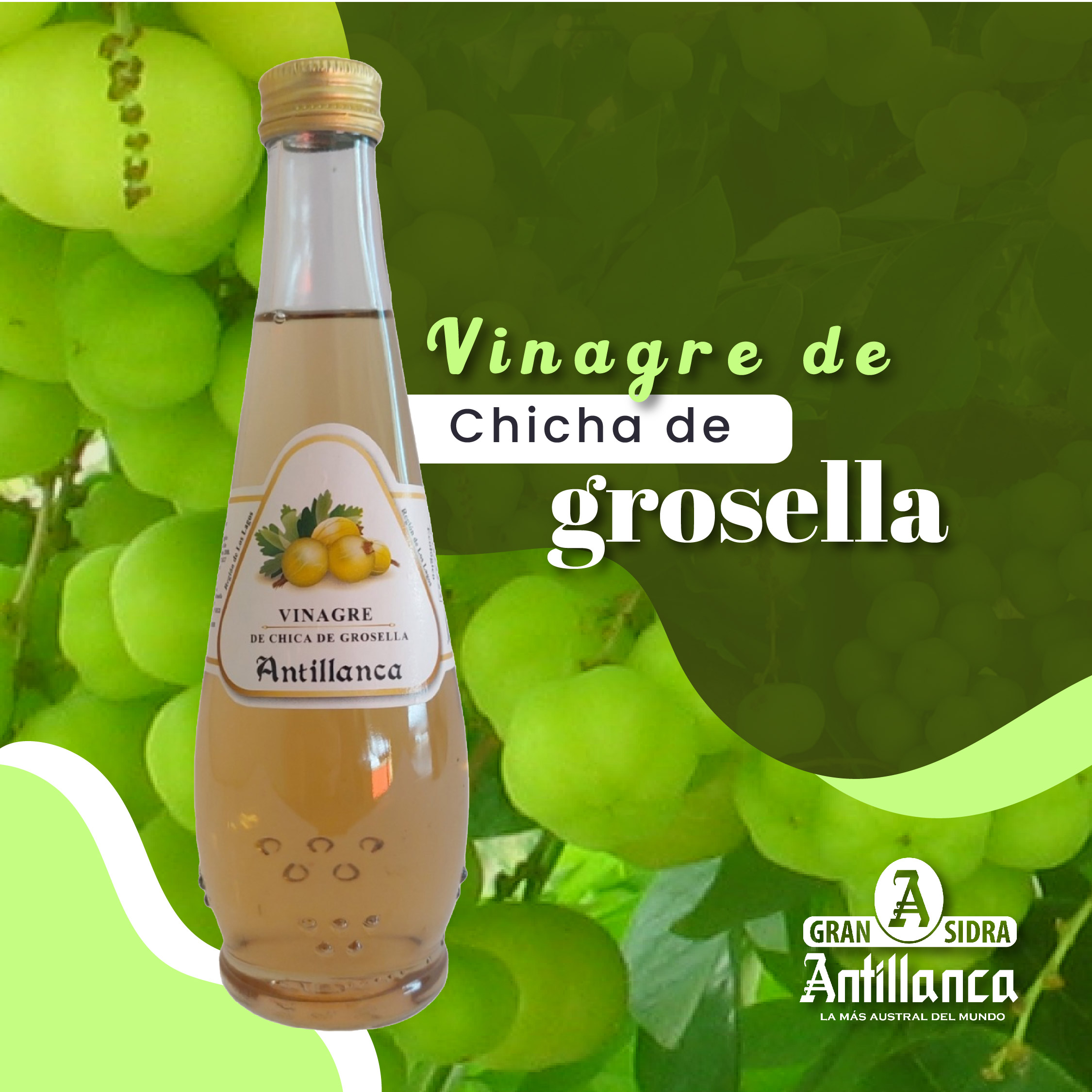 banner vinagre_grosella